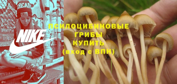 прущий лед Зеленодольск