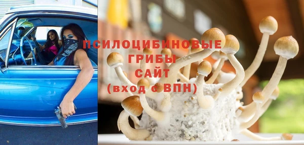 mix Зеленокумск