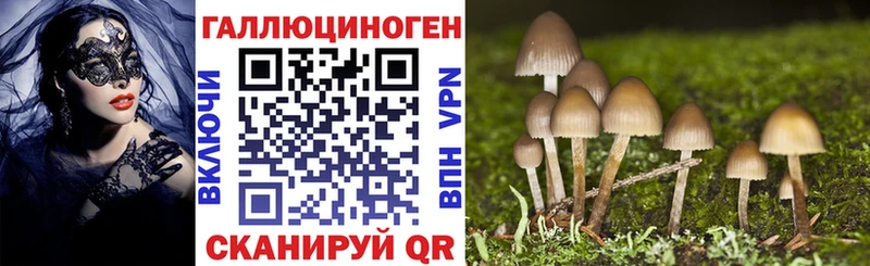 Купить закладки  Камешково  Галлюциногенные грибы Magic Shrooms 